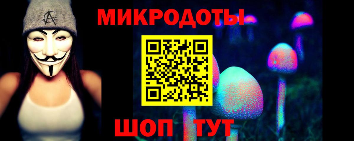 Галлюциногенные грибы Cubensis Серов